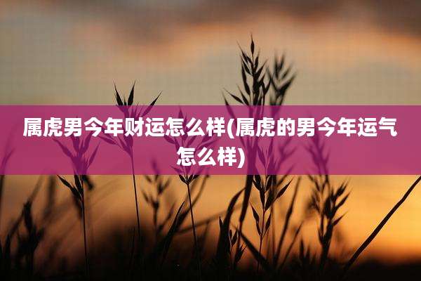 属虎男今年财运怎么样(属虎的男今年运气怎么样)