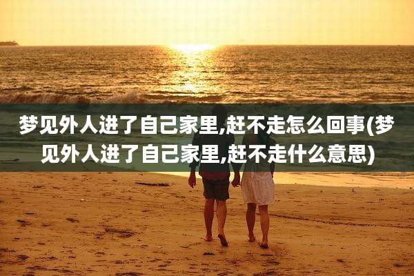 梦见外人进了自己家里,赶不走怎么回事(梦见外人进了自己家里,赶不走什么意思)