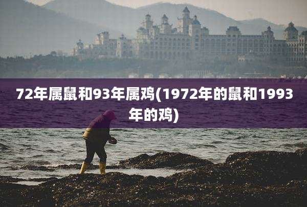 72年属鼠和93年属鸡(1972年的鼠和1993年的鸡)
