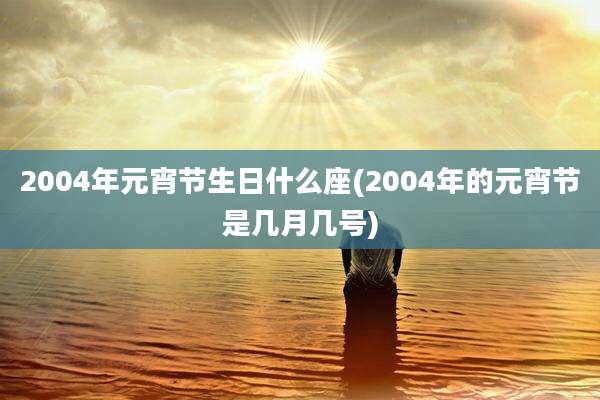 2004年元宵节生日什么座(2004年的元宵节是几月几号)