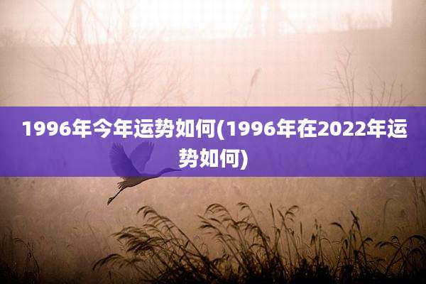 1996年今年运势如何(1996年在2022年运势如何)