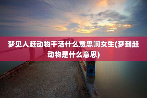 梦见人赶动物干活什么意思啊女生(梦到赶动物是什么意思)