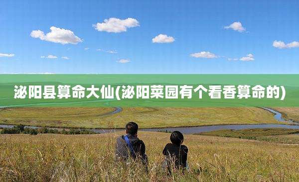 泌阳县算命大仙(泌阳菜园有个看香算命的)