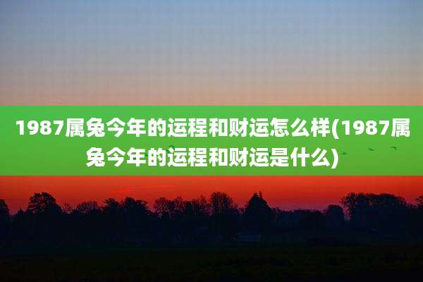 1987属兔今年的运程和财运怎么样(1987属兔今年的运程和财运是什么)