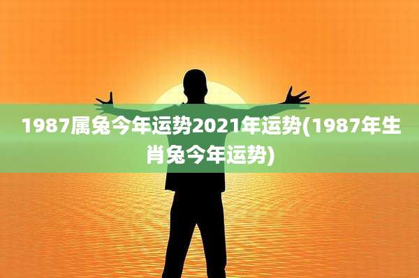 1987属兔今年运势2021年运势(1987年生肖兔今年运势)