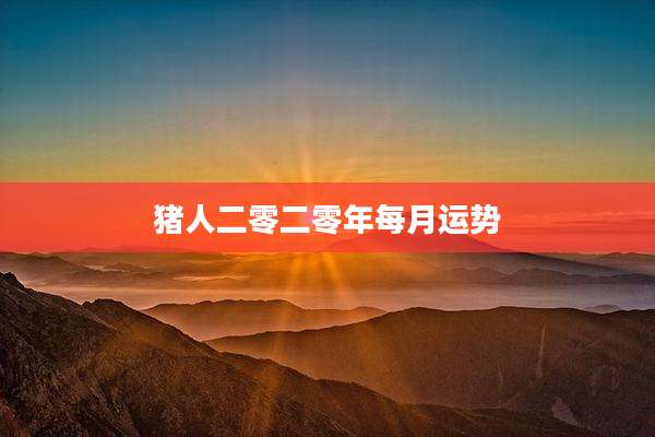 猪人二零二零年每月运势