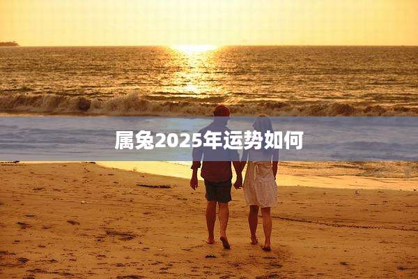 属兔2025年运势如何