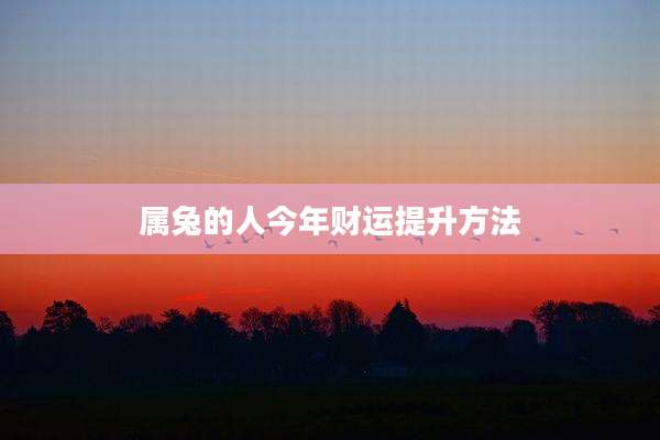 属兔的人今年财运提升方法
