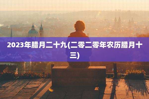 2023年腊月二十九(二零二零年农历腊月十三)