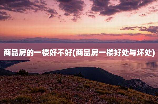 商品房的一楼好不好(商品房一楼好处与坏处)