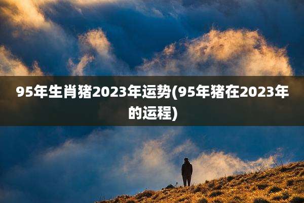 95年生肖猪2023年运势(95年猪在2023年的运程)