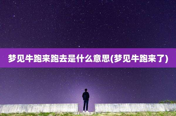 梦见牛跑来跑去是什么意思(梦见牛跑来了)