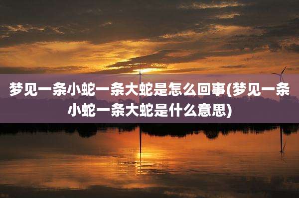 梦见一条小蛇一条大蛇是怎么回事(梦见一条小蛇一条大蛇是什么意思)