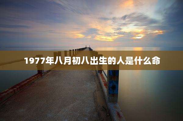 1977年八月初八出生的人是什么命