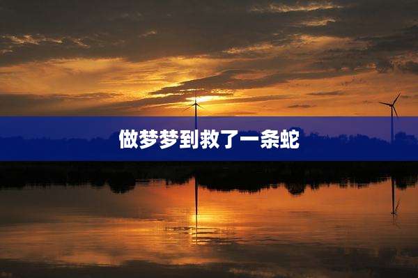 做梦梦到救了一条蛇