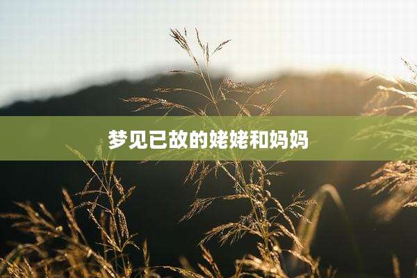 梦见已故的姥姥和妈妈