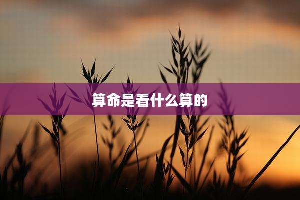 算命是看什么算的