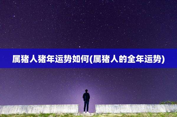 属猪人猪年运势如何(属猪人的全年运势)