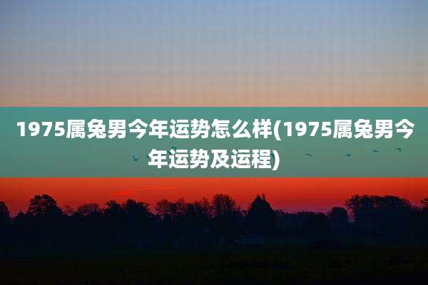1975属兔男今年运势怎么样(1975属兔男今年运势及运程)