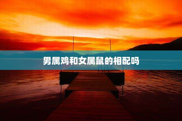 男属鸡和女属鼠的相配吗