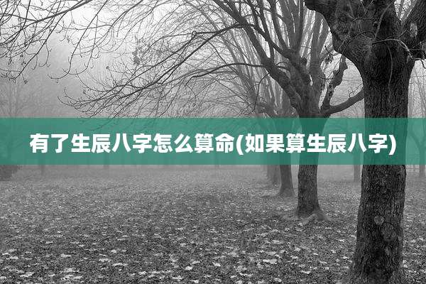 有了生辰八字怎么算命(如果算生辰八字)