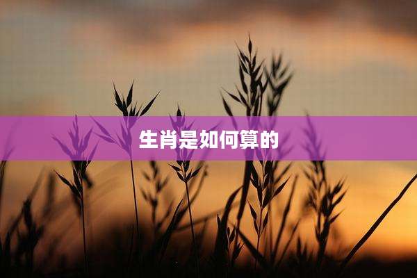 生肖是如何算的
