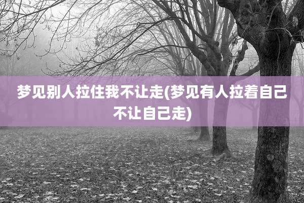 梦见别人拉住我不让走(梦见有人拉着自己不让自己走)