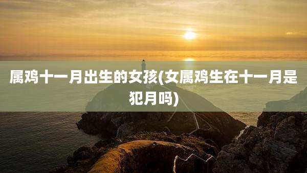 属鸡十一月出生的女孩(女属鸡生在十一月是犯月吗)