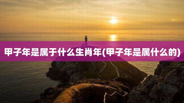 甲子年是属于什么生肖年(甲子年是属什么的)