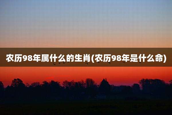农历98年属什么的生肖(农历98年是什么命)