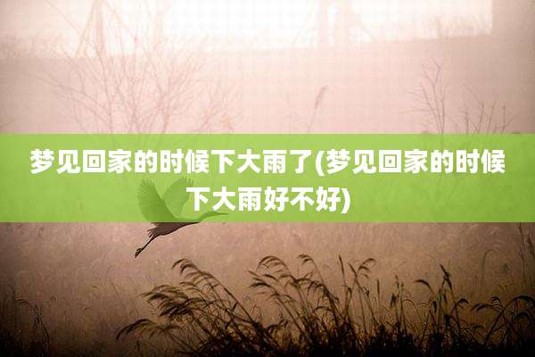 梦见回家的时候下大雨了(梦见回家的时候下大雨好不好)