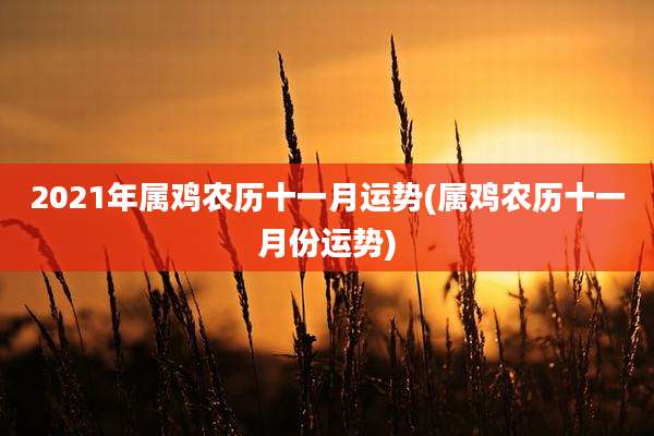 2021年属鸡农历十一月运势(属鸡农历十一月份运势)