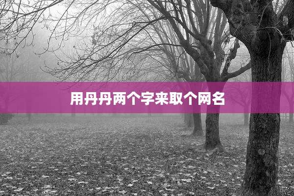 用丹丹两个字来取个网名