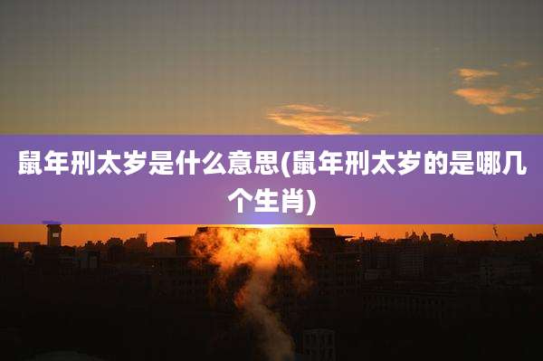 鼠年刑太岁是什么意思(鼠年刑太岁的是哪几个生肖)