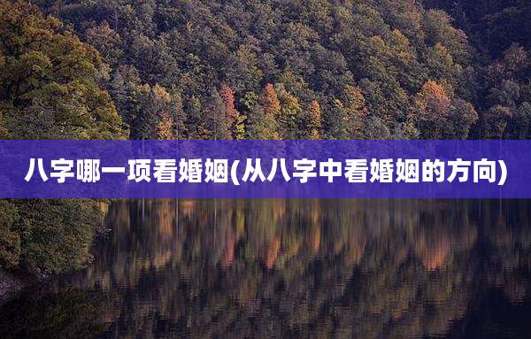 八字哪一项看婚姻(从八字中看婚姻的方向)