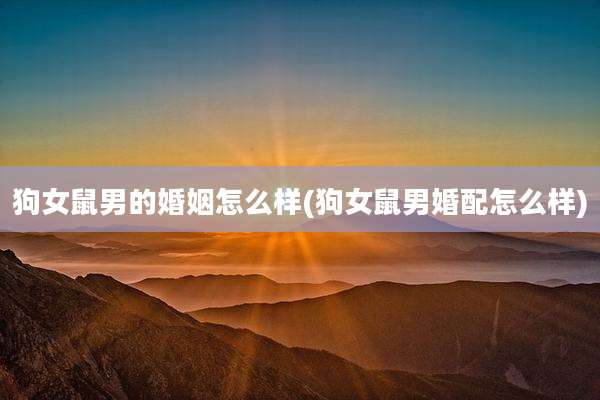 狗女鼠男的婚姻怎么样(狗女鼠男婚配怎么样)