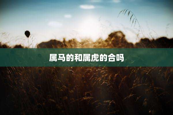 属马的和属虎的合吗