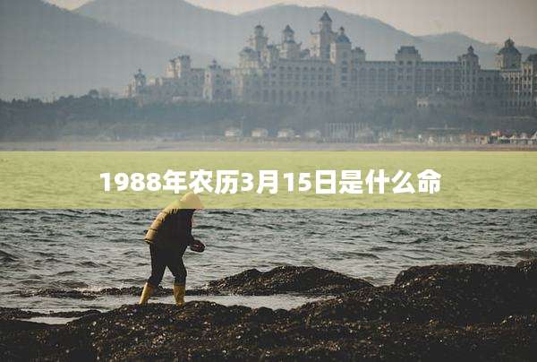 1988年农历3月15日是什么命