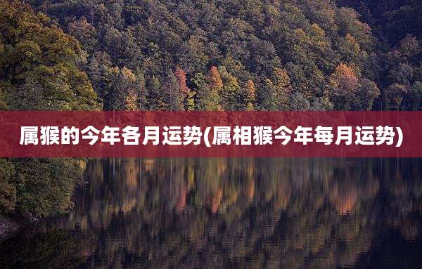 属猴的今年各月运势(属相猴今年每月运势)