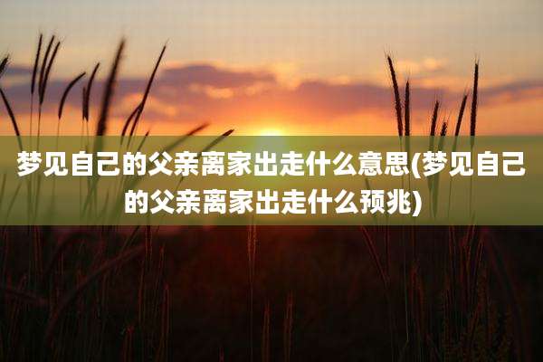 梦见自己的父亲离家出走什么意思(梦见自己的父亲离家出走什么预兆)
