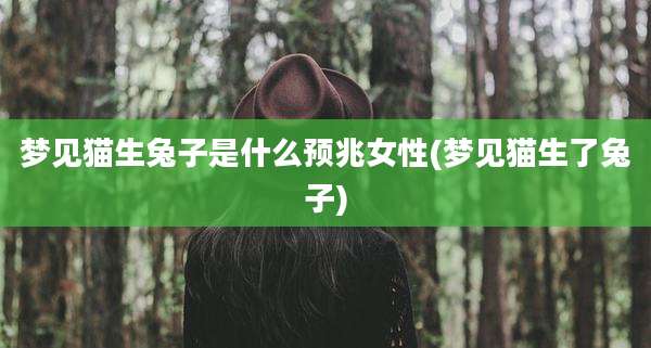 梦见猫生兔子是什么预兆女性(梦见猫生了兔子)