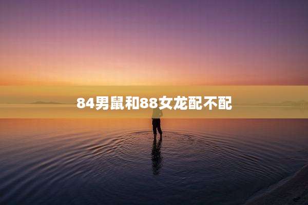84男鼠和88女龙配不配
