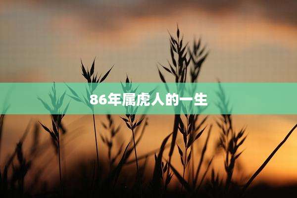86年属虎人的一生