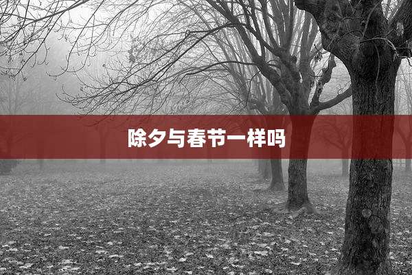 除夕与春节一样吗