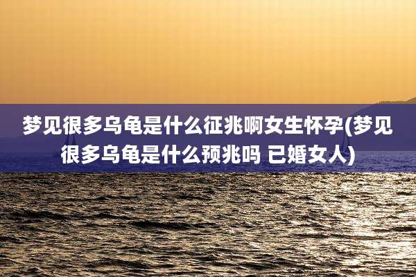 梦见很多乌龟是什么征兆啊女生怀孕(梦见很多乌龟是什么预兆吗 已婚女人)