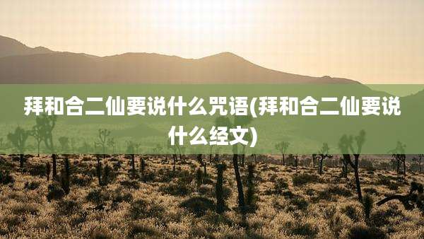 拜和合二仙要说什么咒语(拜和合二仙要说什么经文)