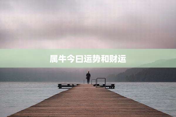 属牛今曰运势和财运