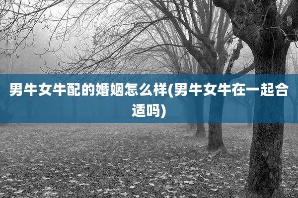 男牛女牛配的婚姻怎么样(男牛女牛在一起合适吗)
