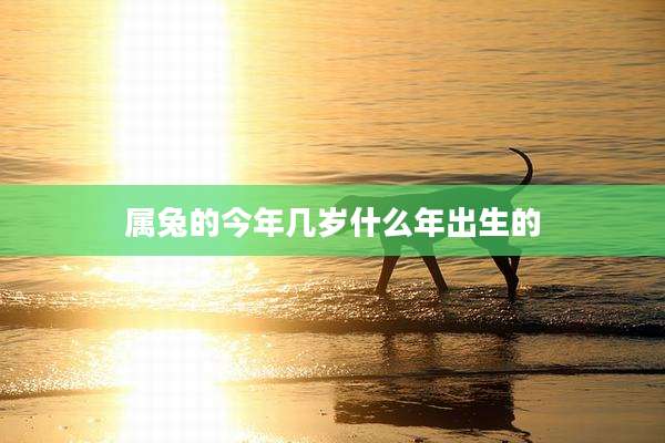 属兔的今年几岁什么年出生的