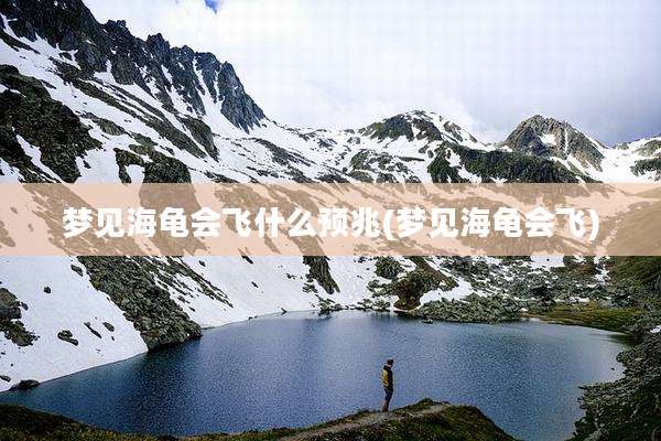 梦见海龟会飞什么预兆(梦见海龟会飞)